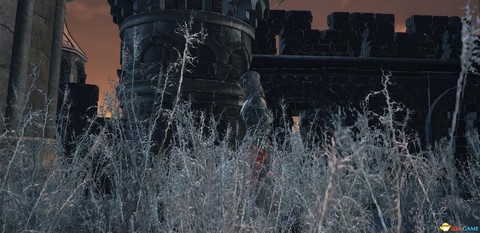 黑暗之魂3人之脓什么