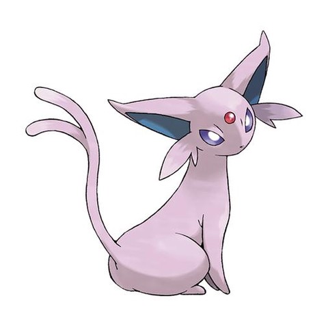 神奇宝贝太阳用什么玩[图2]