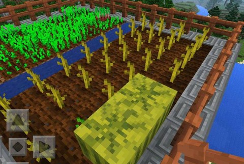 我的世界怎么种西瓜[图1]