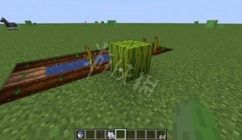 我的世界怎么种西瓜[图2]