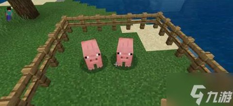 我的世界猪怎么驯服