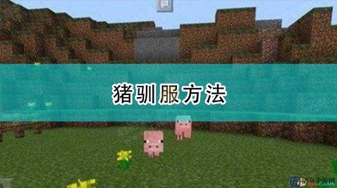 我的世界猪怎么驯服[图1]