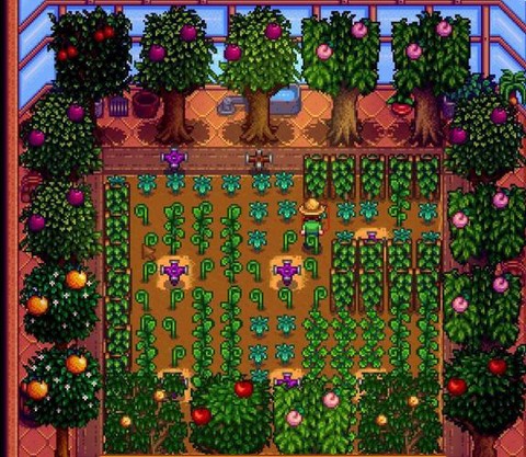 星露谷物语温室种什么