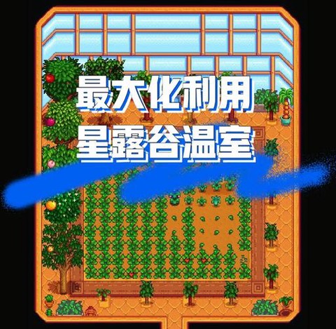 星露谷物语温室种什么[图1]