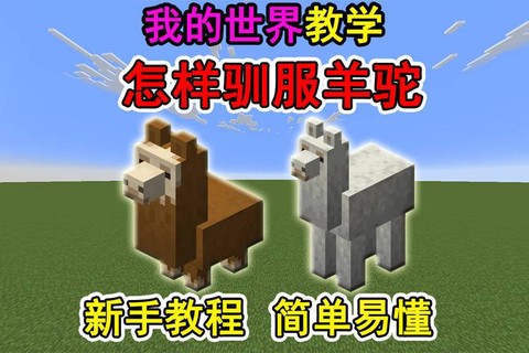 我的世界骑羊驼要什么[图2]